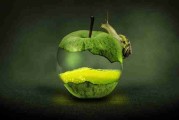 觅圈网站——IP 进阶趋势前瞻实战分享